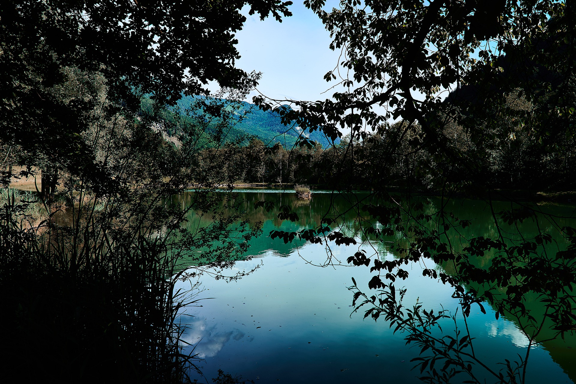 Unterkünfte und Natururlaub in Kössen